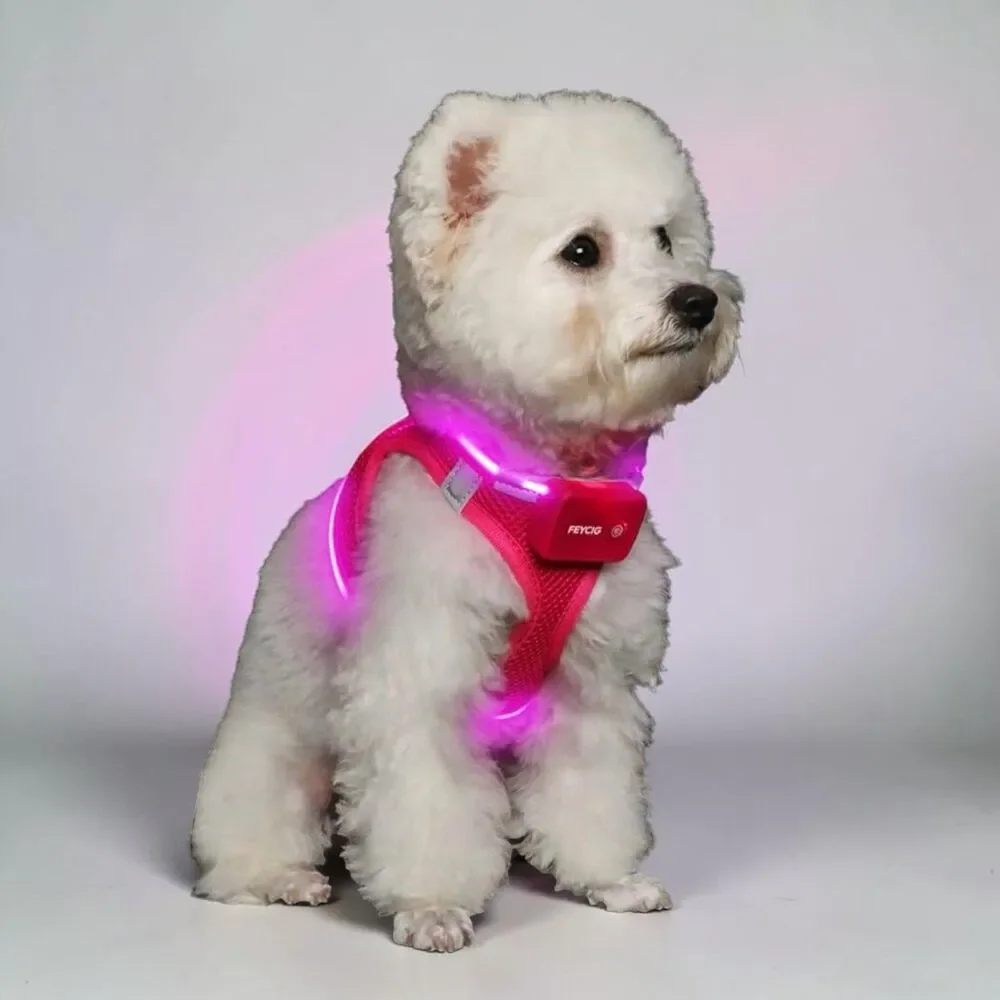 🆕 Feycig LED Light Up Rechargeable Dog Harness in Hot Pink